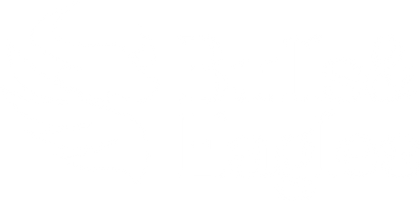 Mr.Bulls & Eagle's